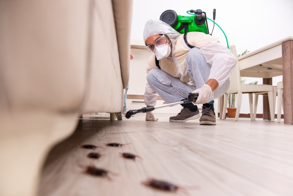 كيف تنظف المنزل بعد رش المبيدات الحشرية؟